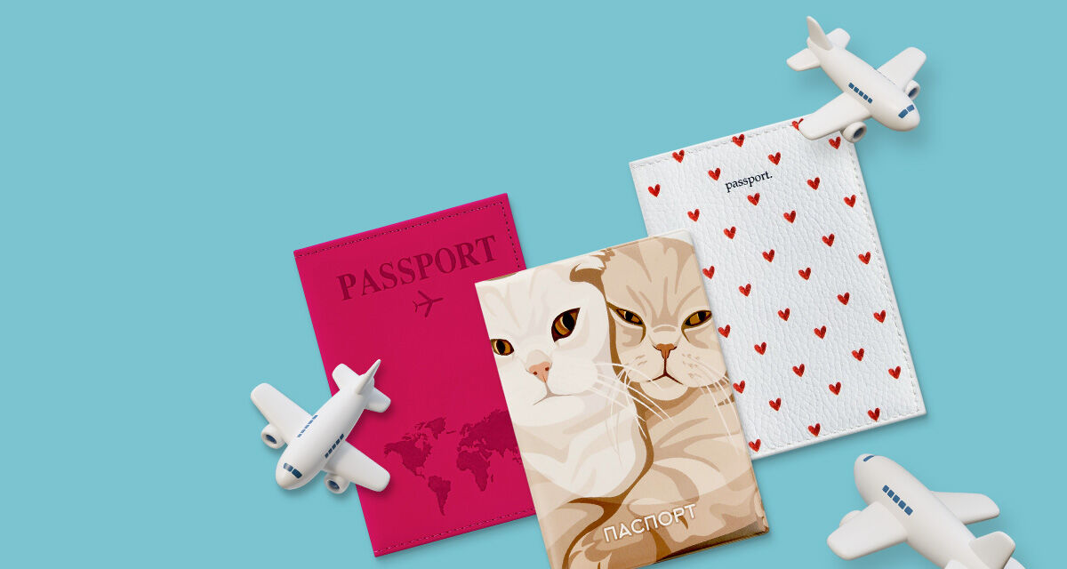 Обложки для паспорта